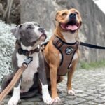 Premium Comfort Herringbone Harness | Non Restrictive - Soft Pink — изображение 13