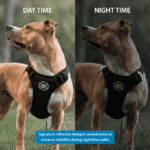 Comfort Premium Harness | Non Restrictive - Light Blue — изображение 3