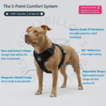 Comfort Premium Harness | Non Restrictive - Light Blue — изображение 2