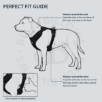 Comfort Premium Harness | Non Restrictive - Light Blue — изображение 4